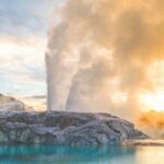 Rotorua Highlights Tour inc. Te Puia Tour, Lunch & Cultural Show - Final Thoughts: Who Is This Tour Best For?