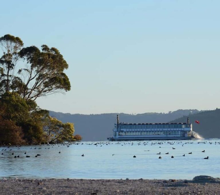 Rotorua: Lake Rotorua Cruise with Buffet Dining Option - Practical Tips for Travelers