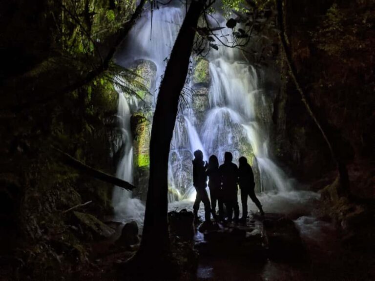 Rotorua: Nocturnal Glow-Worm Adventure Tour with a Guide - Why You’ll Love It (and What to Consider)
