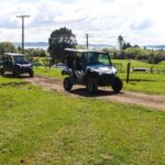 Rotorua Off-Road 4WD Buggy Adventure - Who Should Consider This Tour?