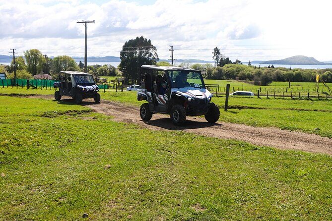 Rotorua Off-Road 4WD Buggy Adventure - Who Should Consider This Tour?