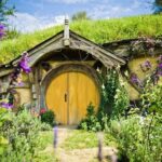 Rotorua: One-Way Trip to Auckland via Hobbiton & Waitomo - The Value of This Tour