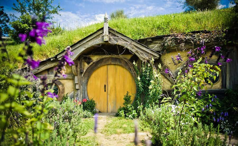 Rotorua: One-Way Trip to Auckland via Hobbiton & Waitomo - The Value of This Tour