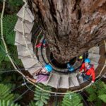 Rotorua: Redwoods Altitude High Ropes Adventure - The Bottom Line: Who Is This For?