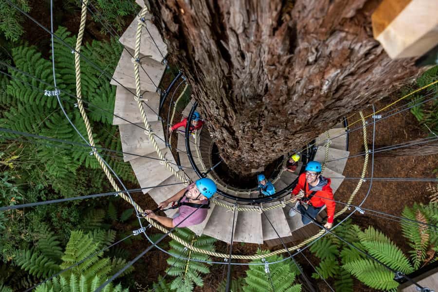 Rotorua: Redwoods Altitude High Ropes Adventure - The Bottom Line: Who Is This For?