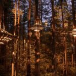 Rotorua: Redwoods Altitude, Nighttime Fast Pass, & Treewalk - Who Should Consider This Tour?