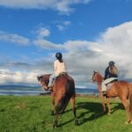 Rotorua: Scenic Horse Trek - What To Expect on the Tour