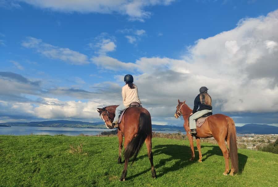 Rotorua: Scenic Horse Trek - What To Expect on the Tour