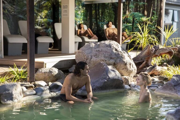 Rotorua: Te Puia Maori Village and Rejuvenation Tour - The Transport and Group Size: Comfort and Convenience