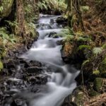 Rotorua: The Buried Village of Te Wairoa - What to Expect at the Museum