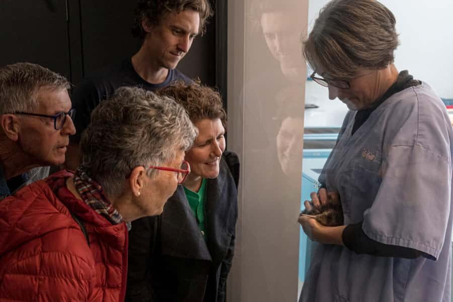 Rotorua: The National Kiwi Hatchery Kiwi Encounter Tour - The Detailed Itinerary and Its Value