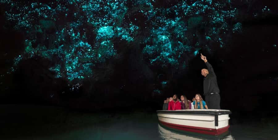 Rotorua to Auckland - Afternoon Transfer with Waitomo Caves - What’s Included and What’s Not