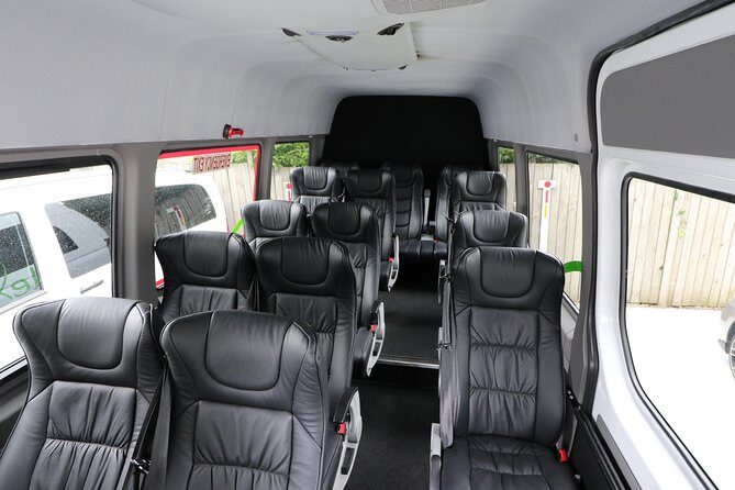 Rotorua to Auckland Afternoon Transfer with Waitomo Glow Worms - Reviews in Context