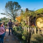 Rotorua to Auckland via Hobbiton Tour with Lunch - One Way - Who Is This Tour Best For?