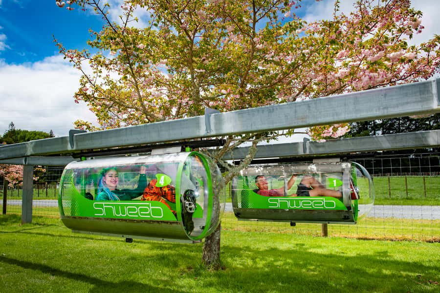 Rotorua: Velocity Valley - One Ride Pass - Why It’s a Good Value