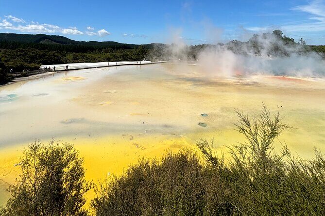 Rotorua: WaiOtapu & Redwood forest & Blues springs from Auckland - Who Will Love This Tour?
