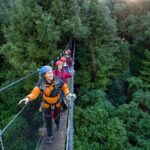 Rotoruas Ultimate Zipline: 6 ziplines, 400 m Tandem, Cliff Walk - Final Thoughts