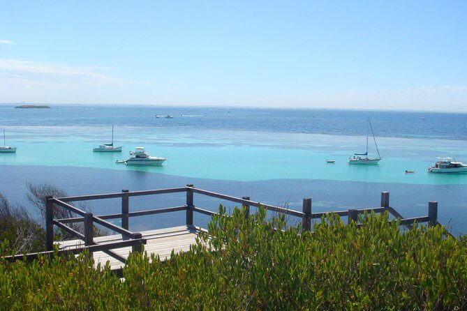 Rottnest Bayseeker Bus Tour from Hillarys Boat Harbour - What Makes This Tour Stand Out?