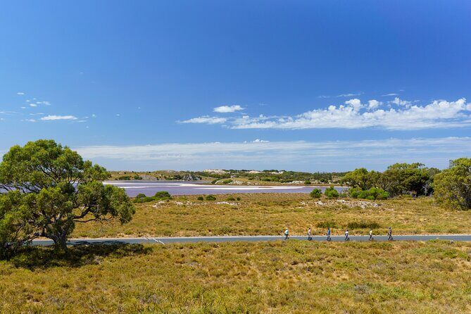 Rottnest Coastal Explorer Tour - Who Should Consider This Tour?