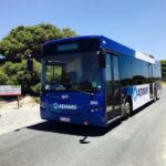 Rottnest Grand Island Package with Ferry, Tour & Light Lunch - The Practical Details: What to Expect