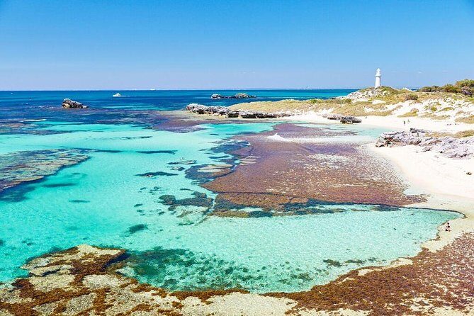 Rottnest Island Bayseeker Day Trip from Fremantle - Who Will Enjoy This Tour?