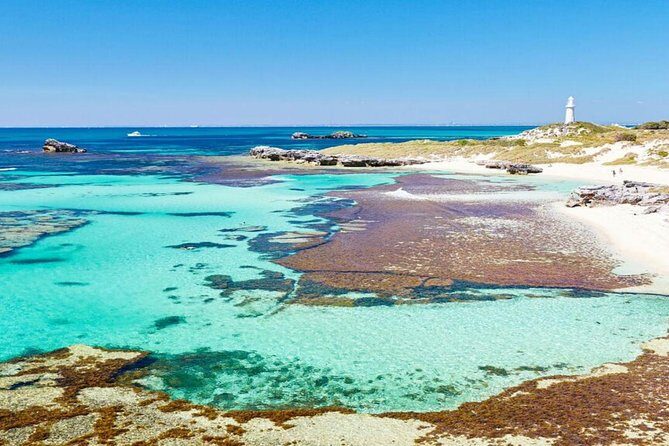 Rottnest Island Bayseeker Day Trip from Perth - What the Tour Means for You