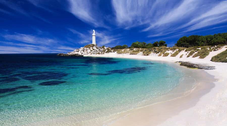 Rottnest Island: Grand Bus and Train Tour with Lunch - Transportation and Practical Details