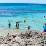 Rottnest Island Roundtrip Fast Ferry from Hillarys Boat Harbour - What Travelers Say