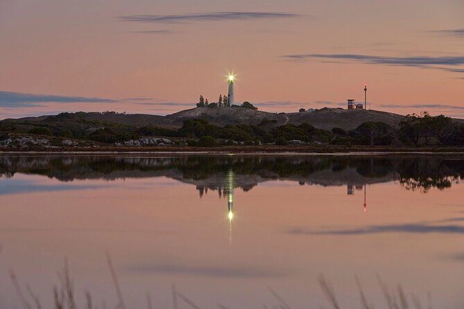 Rottnest Island Seals Sunset and West End Bus Tour - Final Thoughts