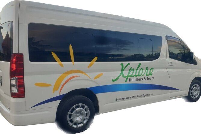 Round-trip Nadi Int Airport - Denarau Hotels (Private Transfer) - Who Should Consider This Service?