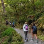 Routeburn Track Guided Hike (Full Day) - Why the Guides Make a Difference