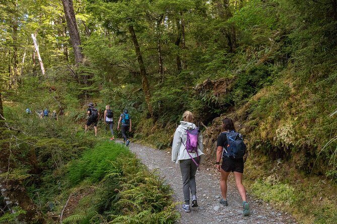 Routeburn Track Guided Hike (Full Day) - Why the Guides Make a Difference