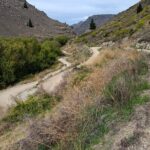 Roxburgh Gorge Bike Hire with Jet Boat & Return Shuttle Included - Price and Value Analysis