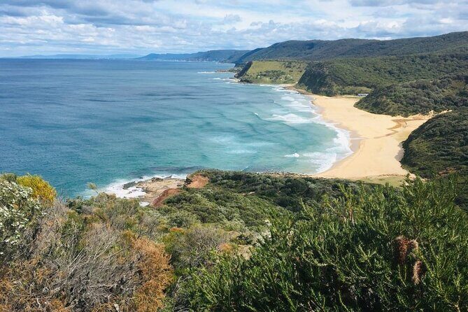 Royal National Park Hike, Swim and Wildlife Tour - The Sum Up