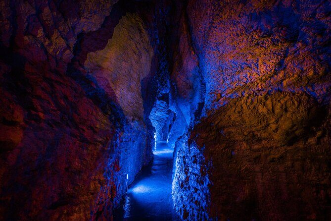 Ruakuri Cave and Hamilton Gardens Private Day Tour from Auckland - Who Will Enjoy This Tour?