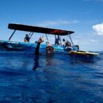 Sacred Experience Swimming with a Whale in Moorea - Who Would Love This Experience?