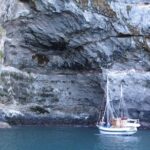 Sailing and Wildlife Tour Akaroa Fox II Sailing - Practical Tips for Participants