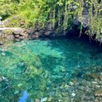 Samoa Upolu: Full Day Private Tour - What Does the Price Get You?