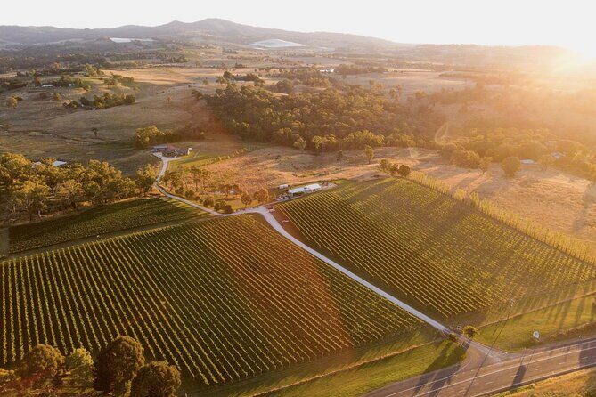 Savour with Swinging Bridge - In-Depth Look at the Itinerary