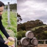 Scenic Maori Cultural Tour Of Waiheke Island With Lunch - Wine Tasting at Batch Winery: Views and Vintages
