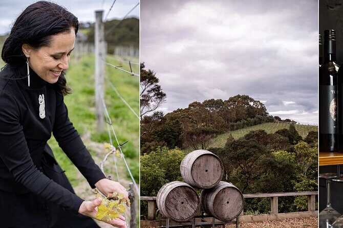 Scenic Maori Cultural Tour Of Waiheke Island With Lunch - Wine Tasting at Batch Winery: Views and Vintages