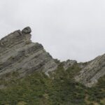 Scenic South Wairarapa Full Day Tour from Wellington - Who Should Consider This Tour?