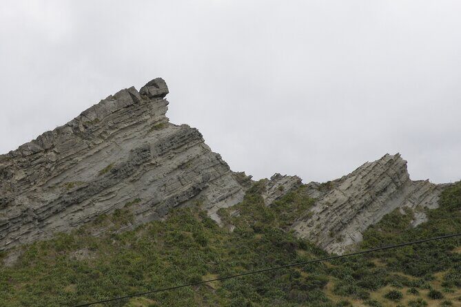 Scenic South Wairarapa Full Day Tour from Wellington - Who Should Consider This Tour?