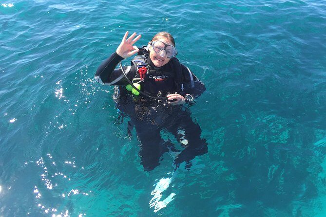Scuba Dive The Beautiful Rottnest Island for Certified divers - Final Thoughts: Is This the Dive Experience for You?