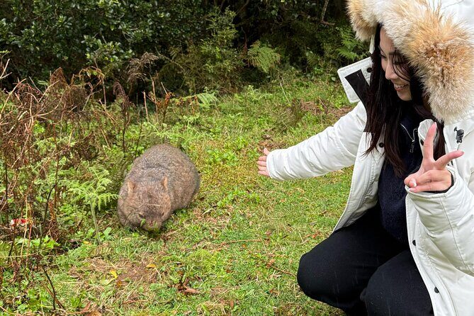 Sea Cliff Bridge, Kiama Blowhole, Beaches & Wildlife Small Group - What Makes This Tour Stand Out?