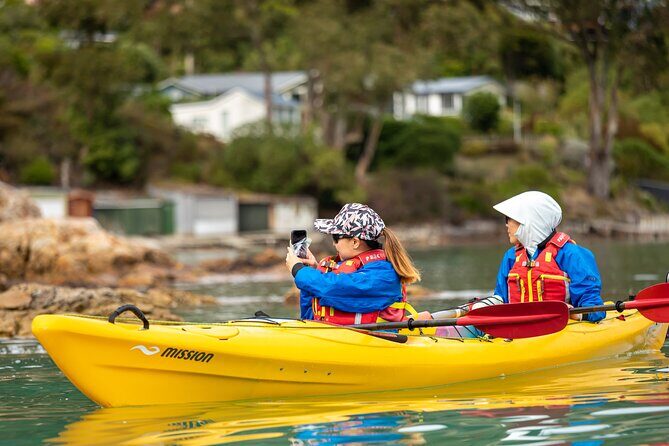 Sea Kayaking Christchurch, Lyttelton Harbour & Quail Island - Who Should Consider This Tour?