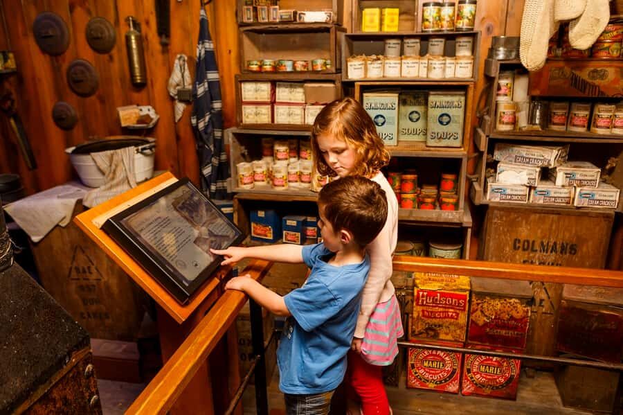 Sea Life Kelly Tarlton's Aquarium General Admission - Who Will Love Kelly Tarlton’s?