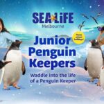 SEA LIFE Melbourne Aquarium Admission Ticket - The Itinerary in Detail: A Closer Look