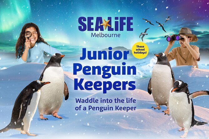 SEA LIFE Melbourne Aquarium Admission Ticket - The Itinerary in Detail: A Closer Look