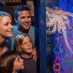 SEA LIFE Sunshine Coast Aquarium Entrance Ticket - Who Should Visit?